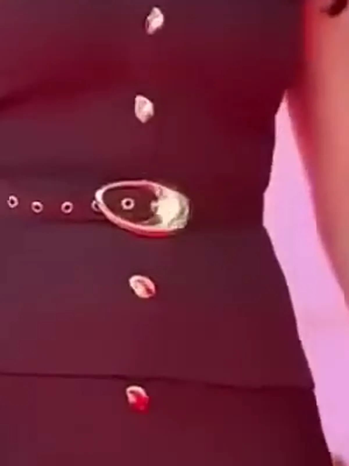 Trisha Krishnan — The detail to search on — the eyelet-punched self belt and its large flat oval gold buckle, with the peplum seam just below