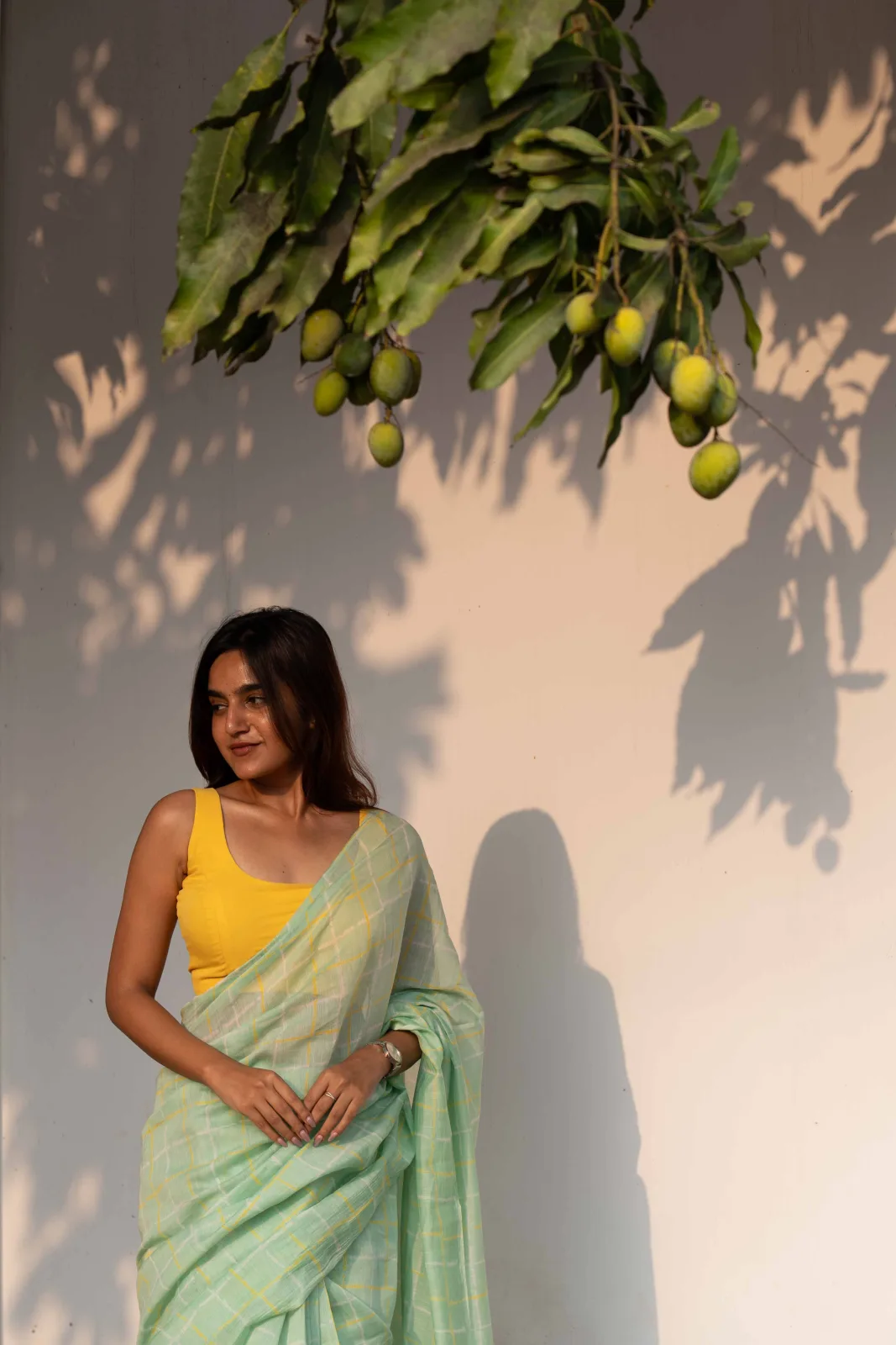 Aamra by Alai (Studio Thari) Pale mint chanderi saree with a yellow windowpane check