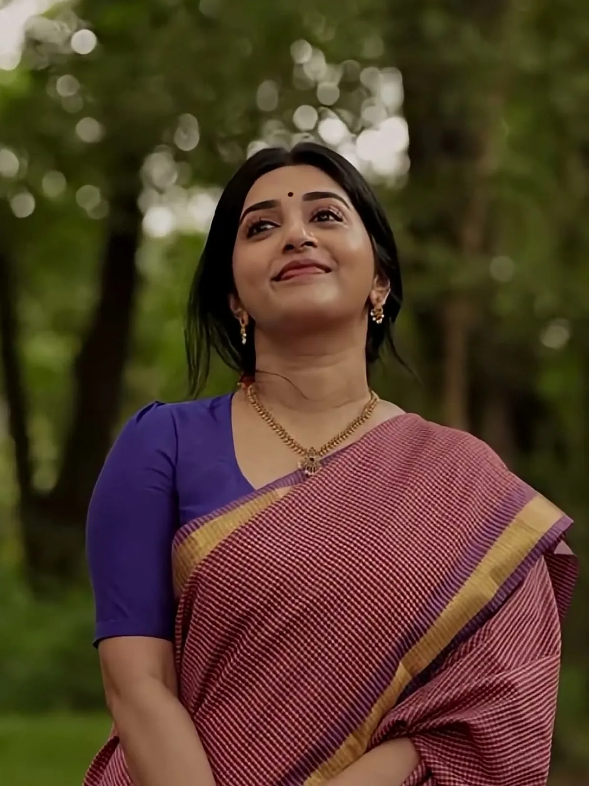 The rose check saree — Meera Jasmine